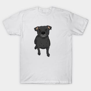 Black Pit Bull Drawing, Sitting Pittie T-Shirt